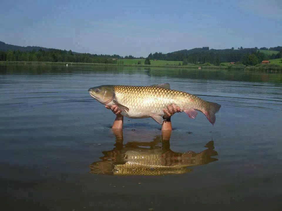 Best Off - 14566866043211796160861713798926n.jpg